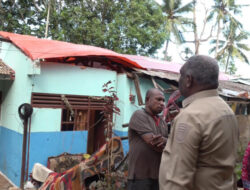 Abisai Rollo Instruksikan Penebangan Pohon Rawan Usai Insiden di Jayapura Utara